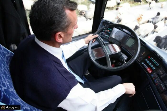 Водитель автобуса в Турции. Традиции водителя туристического автобуса. Сарухан водитель туристического автобуса.