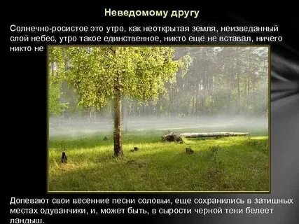 Изложение сибирь живет своей неведомой остальной
