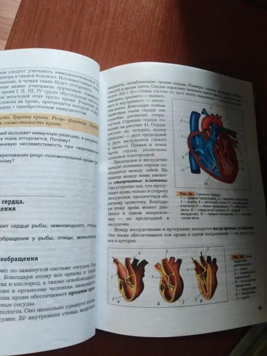 Параграф 56 8 класс. Биология 8 класс учебник параграф 43. Учебник по биологии 8 класс 3 параграф. Биология 8 класс 54 параграф. Биология 8 класс 56 параграф.