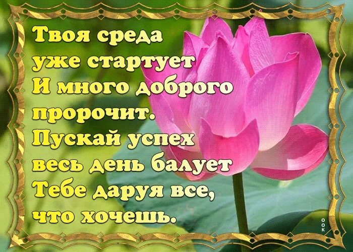 Поздравление со средой. Пожелания с добрым утром среды. Поздравление со средой и добрым утром. Открытки с добрым утром среды. Пожелание хорошей среды.