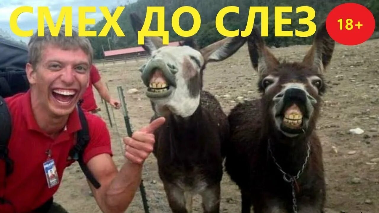 Смешные приколы до слез русские