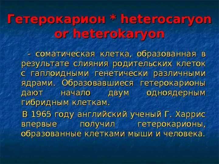 Гетерокарион. Гетерокарион гистология. Синкарион и гетерокарион. Отличие гетерокарионы от.