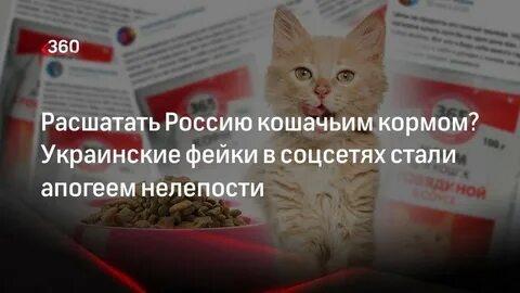 Мы оставили корм для кошки и отправились