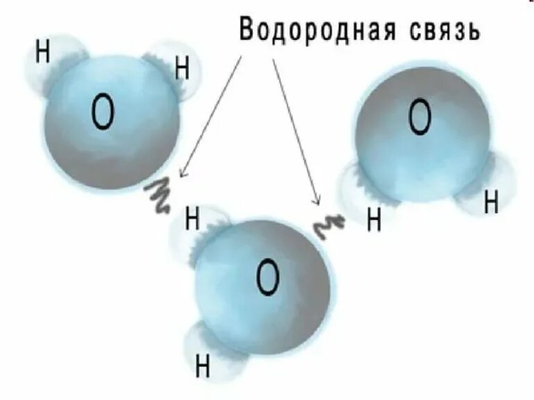 Водородные силы. Схема образования водородной химической связи. Водородная химическая связь воды. Водородная химическая связь схема. Водородная связь в воде схема.