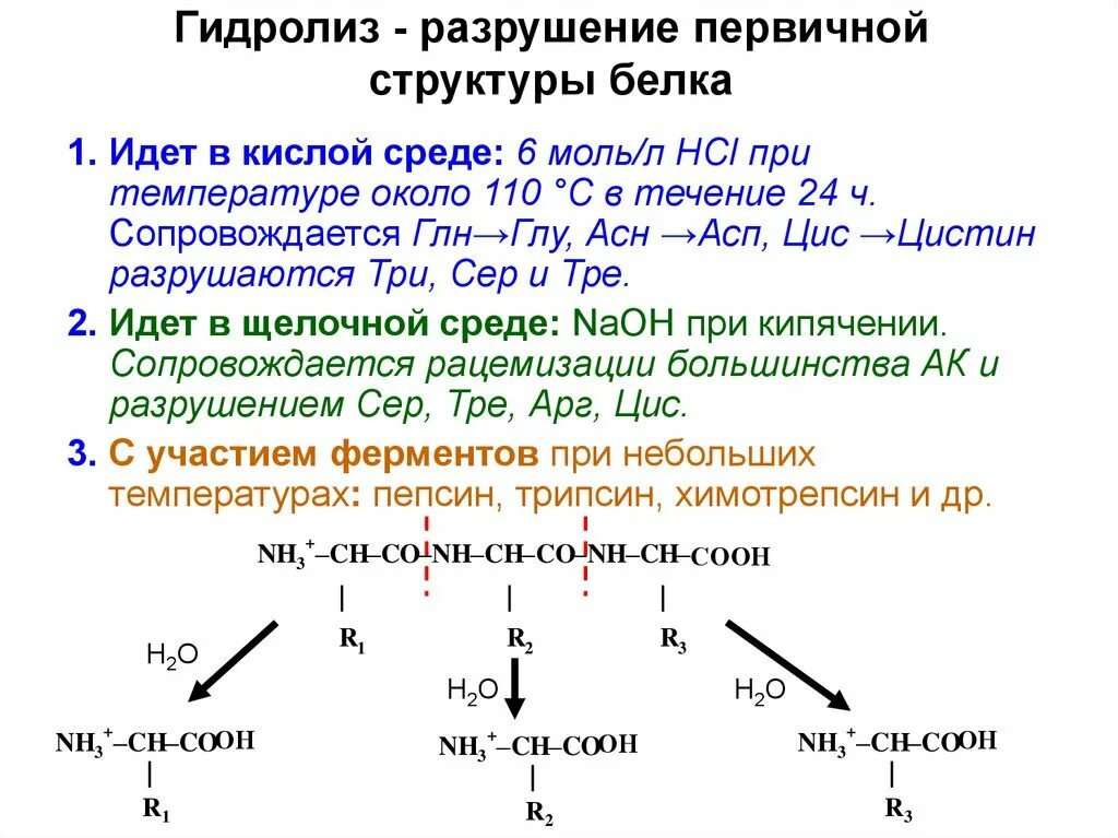 Определите продукт распадов. Гидролиз белков общая схема. Гидролиз белков пример уравнения реакции. Типы гидролиза белка. Уравнение реакции гидролиза первичного белка.