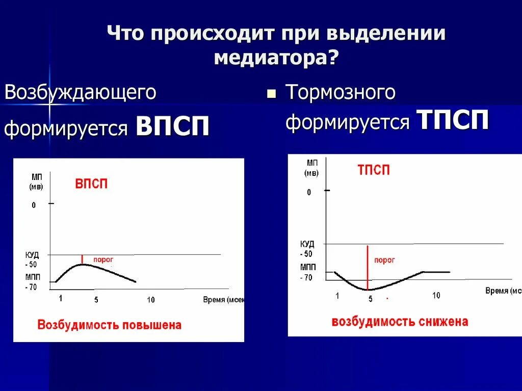 Ионные механизмы развития ВПСП И ТПСП. Механизм возникновения ВПСП И ТПСП. Ионный механизм формирования ТПСП. Механизм формирования ВПСП физиология. Передача пд