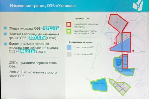 Оэз узловая