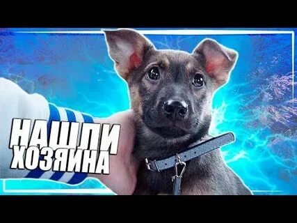 Саня влог