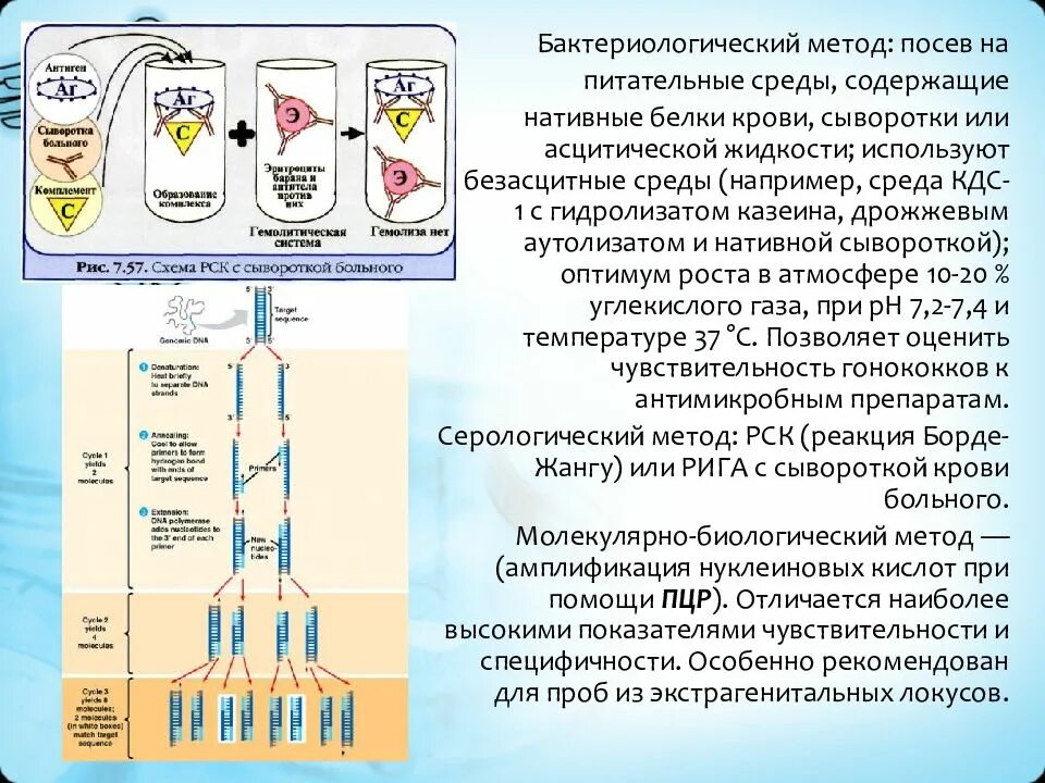 Агар эндо микробиология. Кдс микробиология. Универсальные питательные среды микробиология. Кдс микробиология. Кдс микробиология.
