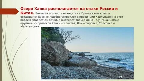 Географические координаты озера ханка