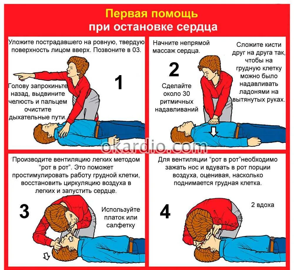 Оказание первой помощи пострадавшим искусственное дыхание. Алгоритм оказания первой помощи при остановке сердца и дыхания. Алгоритм действий при оказании первой помощи при остановке сердца. Алгоритм оказания 1 помощи при остановке сердца. Алгоритм действий при внезапной остановке сердечной деятельности.