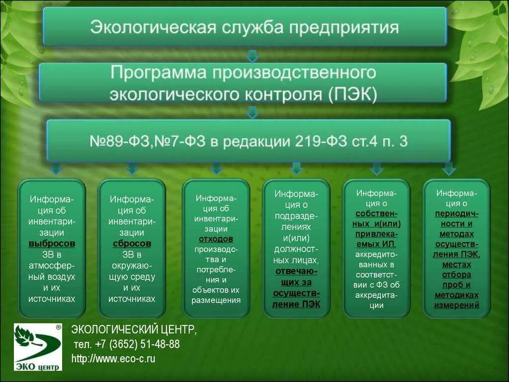 Организация природоохранной деятельности на предприятии. Экология на предприятии. Программа экология. Структура природоохранной деятельности. Государственные учреждения экологии