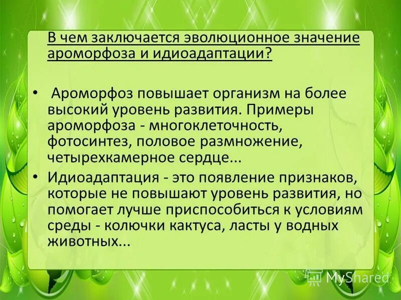 Какие эволюционные изменения можно отнести к ароморфозам. Чт о относячт к аромарфозам. Ароморфозы растений вывод. Какие эволюционные изменения можно отнести к ароморфозам. К ароморфозам относят.