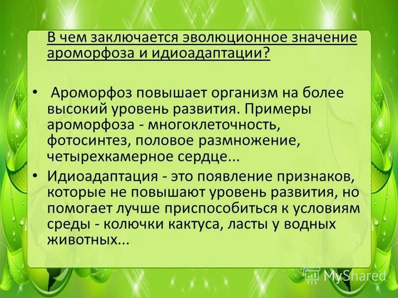 Какое изменение не относят к ароморфозу