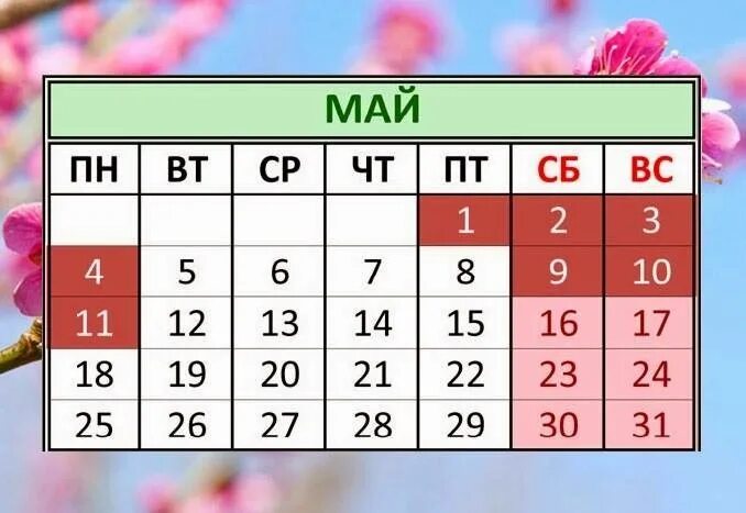 Отдых в мае 24 года