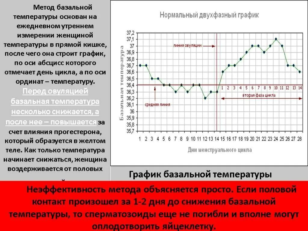 Тест базальной температуры