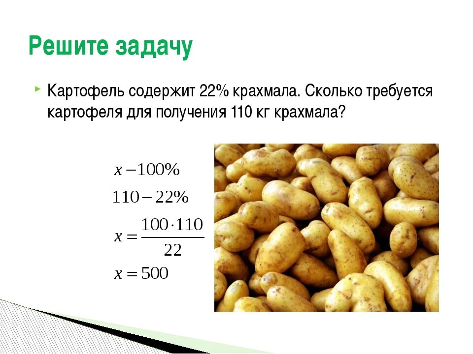 Вес 1 картофеля. Картофель содержит крахмала. Килограмм картошки. Задача про картошку. Количество крахмала в картошке.