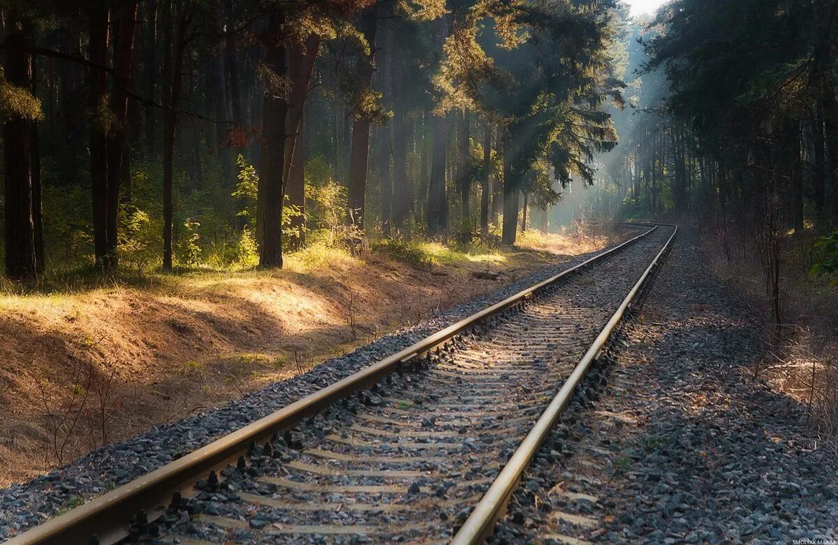 Железная дорога там. Железная дорога. Рельсы в лесу. Красивая железная дорога. Пейзаж с рельсами.
