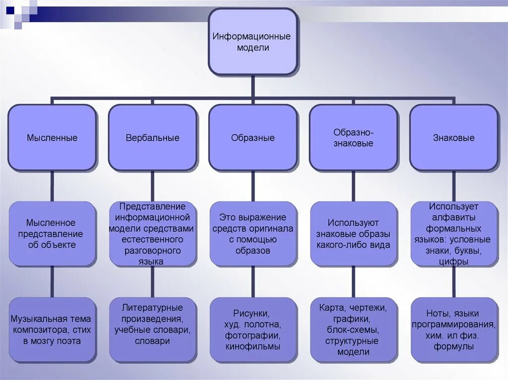 Человек информационная модель. Моделирование информационные модели. Информационные модели в информатике. Информационныетмодели это. Информационная модель объекта.