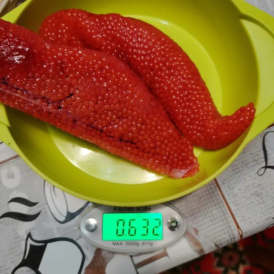 Рыба голец икра. Икра гольца. икра камбалы. арктический голец икра.