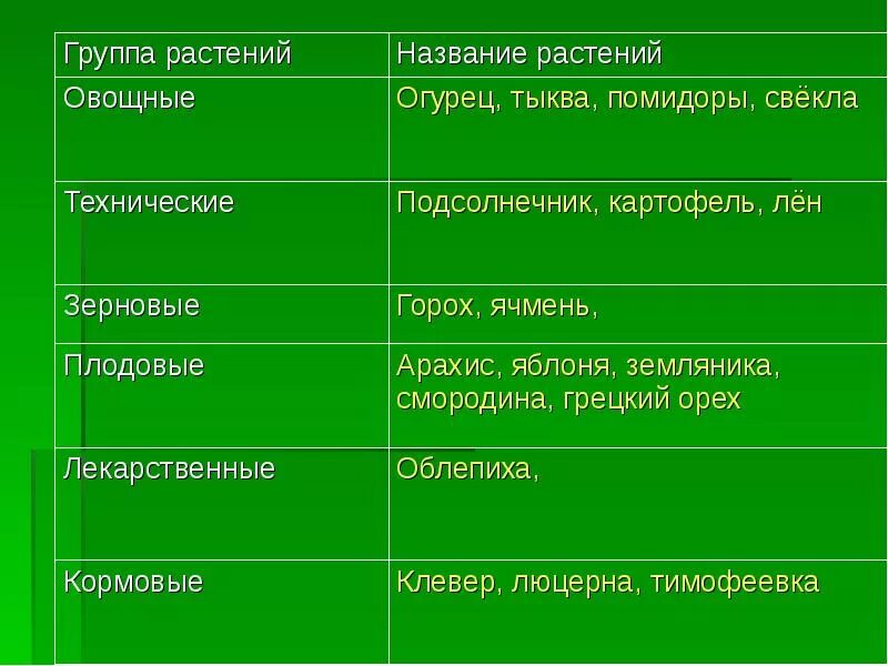 5 основных групп растений. Группы культурных растений. Культурные растения. Группы растений. Полезные культурные растения.