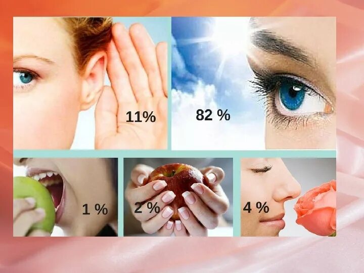 Тим восприятия информации. Типы аудиалы, визуалы, кинестетики. Аудиальная и зрительная. Каналы восприятия в психологии. Типы личности аудиал визуал кинестетик дигитал.