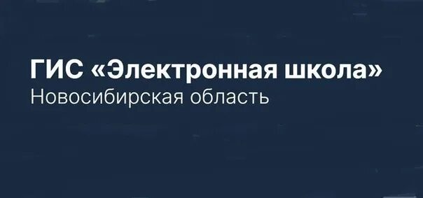 Школа электронная школа. Госуслуги электронный дневник. Электронная школа тюменской. Электронная школа новосибирская область госуслуги войти. Электронная школа нсо дневник.