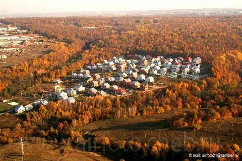 Дубки московской обл