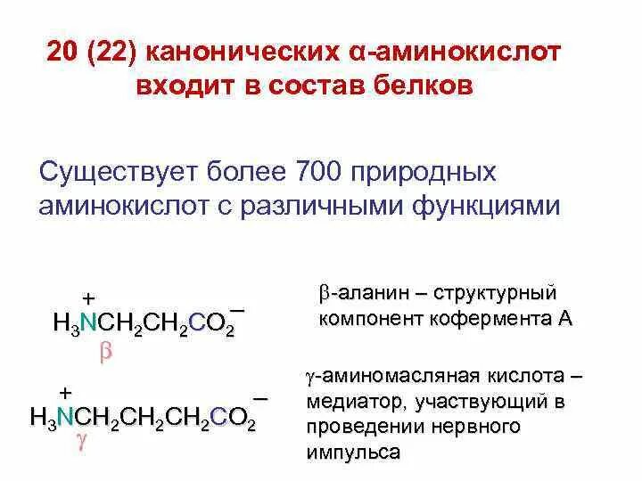 Количество белковых аминокислот. 20 Канонических аминокислот. 20 Аминокислот входящие в состав белков. Аминокислоты входят в состав. 20 Аминокислот, входящих в состав природных белков..