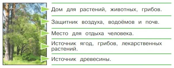 Леса россии тест 4 класс окружающий мир. Лес дом для растений животных грибов. Защитник воздуха водоёмов и почв рисунок. Роль леса в природе и жизни людей. Лес защитник воздуха водоемов и почв.