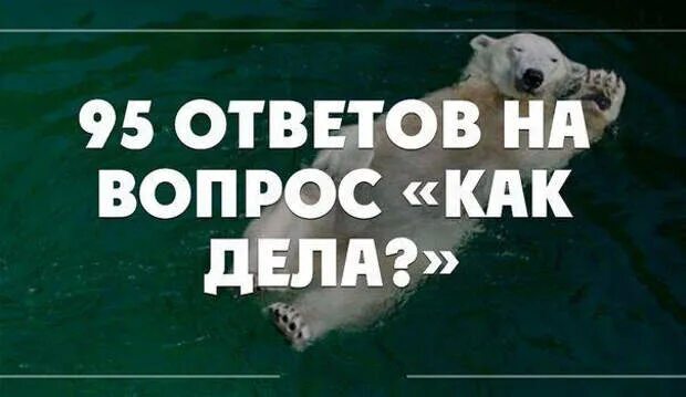 Как твои дела мужчина. Как дела ответ. Ответ на вопрос как дела. Что ответить на вопрос как дела. Ответ на как дела прикольные.