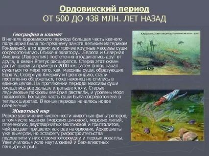 Растительный мир палеозойской эры таблица