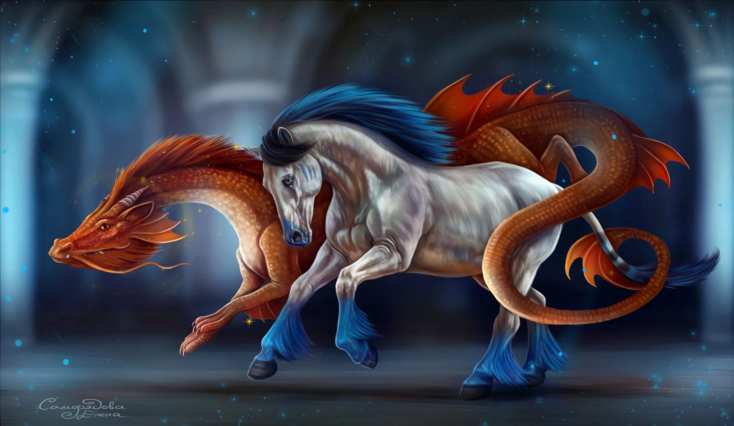 взаимоотношения дракона и собаки. цилинь гарри поттер. дракон девушка дракон мужчина совместимость. совместимость по году змея и дракон. тигр vs драгон.