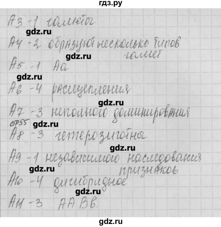 Тест 17 вариант 2. Тест 17 вариант 2