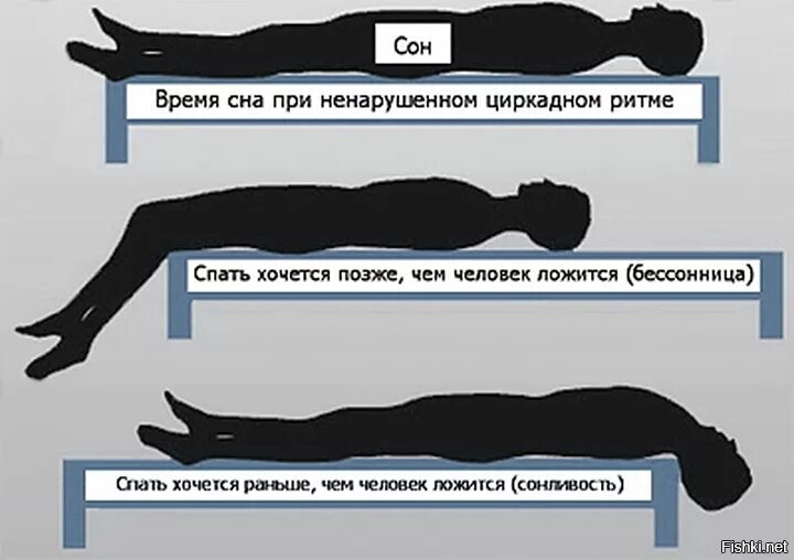 Сбился режим сна. Способы засыпания при бессоннице. режим сна при бессоннице. как быстро уснуть если сбит режим сна. как заснуть раньше.