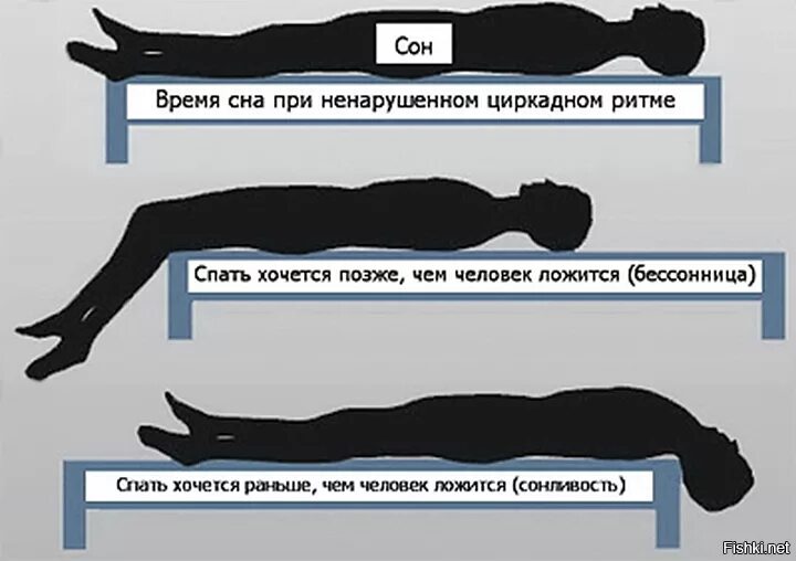 Как можно дольше спать. Как не заснуть. Режим сна при бессоннице. Сбитый режим сна. Способы заснуть при бессоннице.