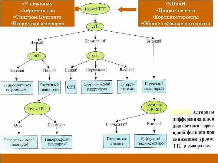 Высокий ТТГ. Диета при высоком ТТГ. Пониженный ТТГ. Очень низкий ТТГ.