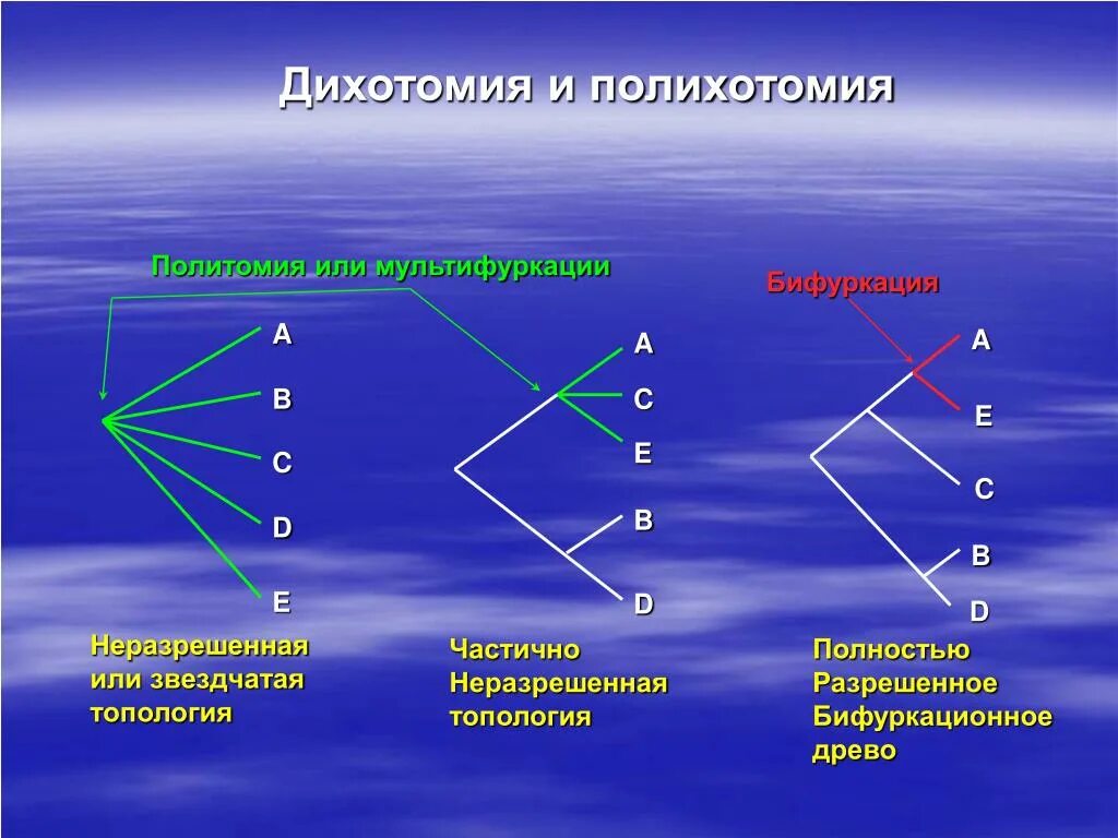 Дихотомия. Дихотомия в психологии. Дихотомия примеры. Дихотомическое мышление. Что такое дихотомия