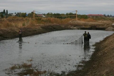 Погода пекилянка