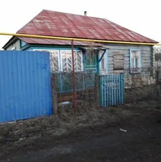 Вторые левые ламки сосновского