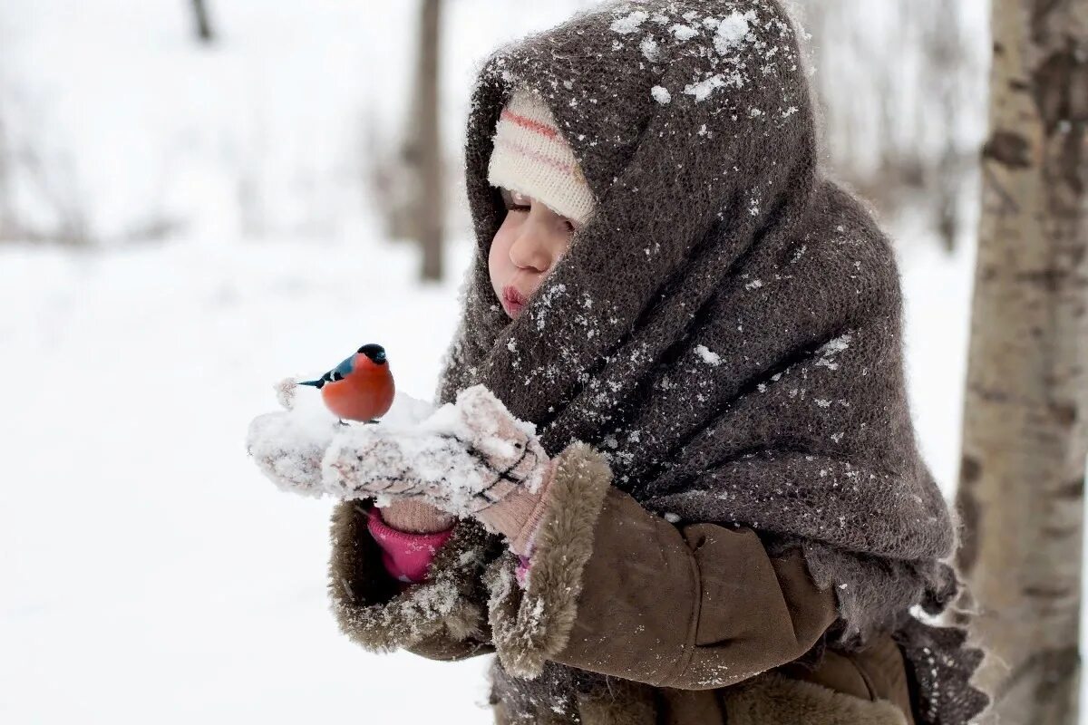 Cold bird. Дети зимой. Дети в снегу. Девочка зимой. Зима холодно.