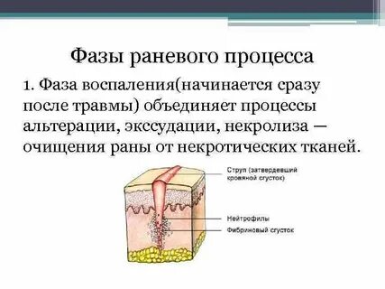 Заживление ран после