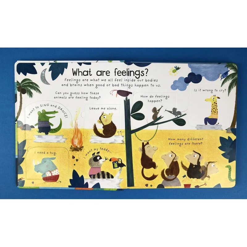 What are feelings?. What is a feelings. Book "feelings and sensitivity". Usborne Lift-the-Flap ABC by Hannah Watson.