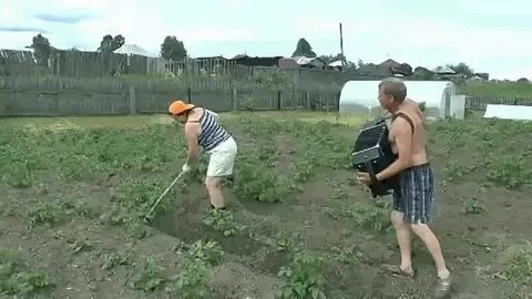 Мужики и бабки видео