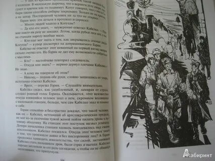 Книга дурень позывной калмык