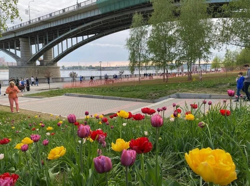 Завтра утром в новосибирске. Утро в Новосибирске. Новосибирск фото. Доброе утро Новосибирск. Доброе утро в городском парке.
