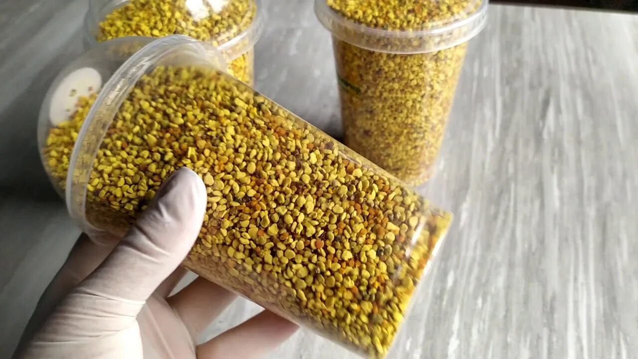 Как хранить пчелиную пыльцу
