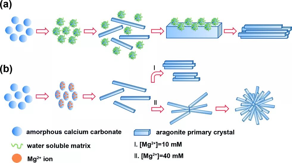 Карбонат кальция этан. Nanoparticles carbonate. Ceramic Nanoparticles. Crystallization process. Calcium carbonate МК-5.