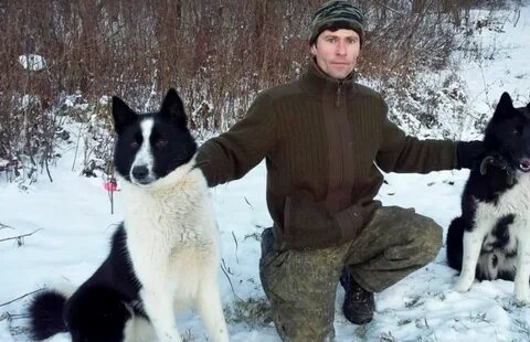 Питомник русско европейских лаек