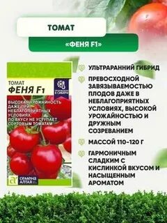Томат феня характеристика